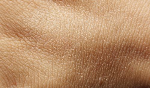 Распознавание лица человека по текстуре кожи